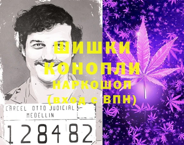 spice Михайловск