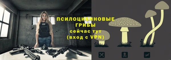spice Михайловск