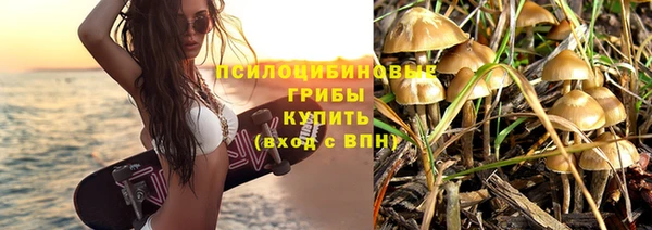 a pvp Михайлов