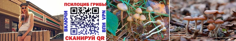 сколько стоит  ссылка на мегу рабочий сайт  Псилоцибиновые грибы Magic Shrooms  Пушкино 